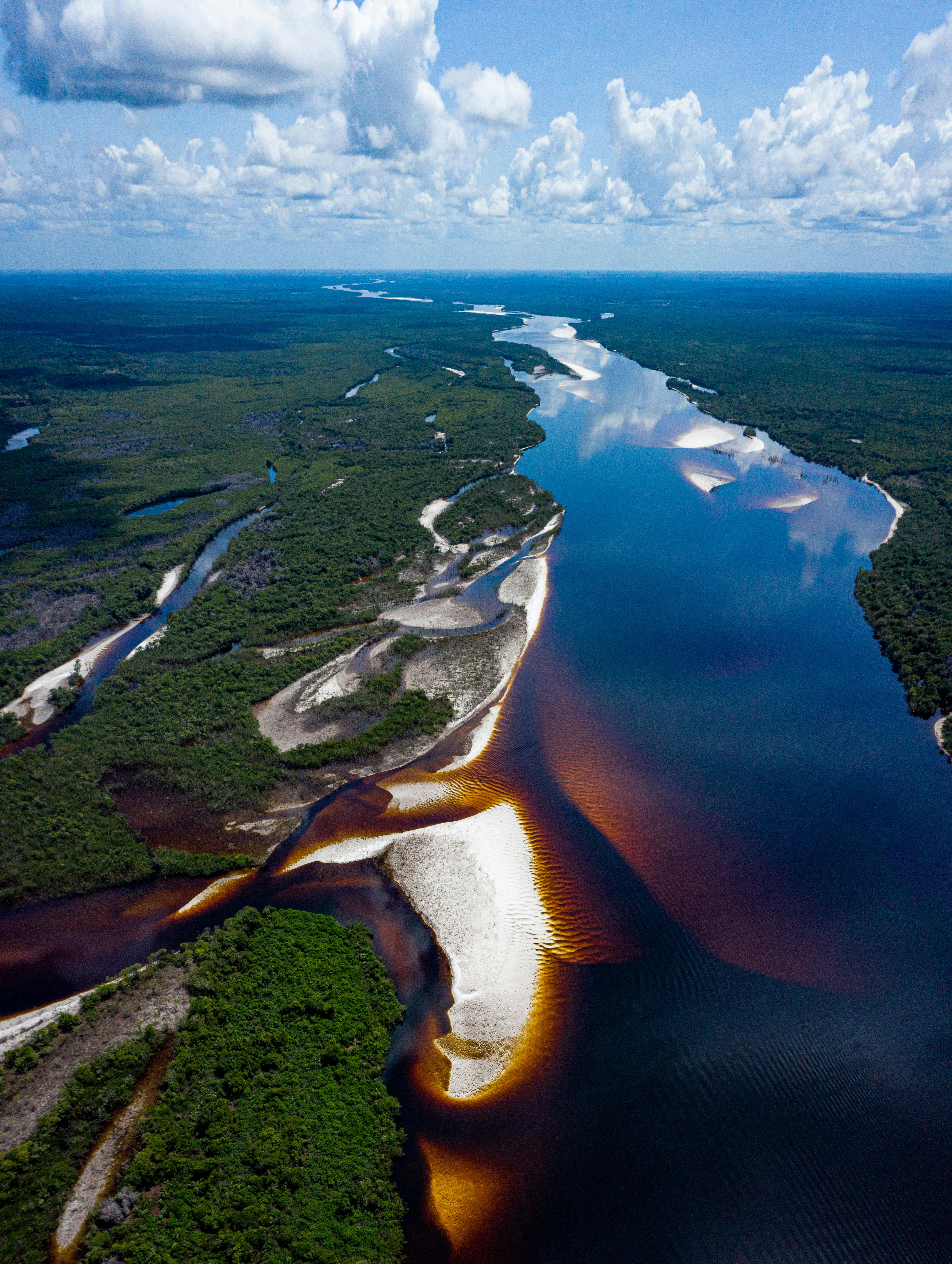 Amazonas - Principal