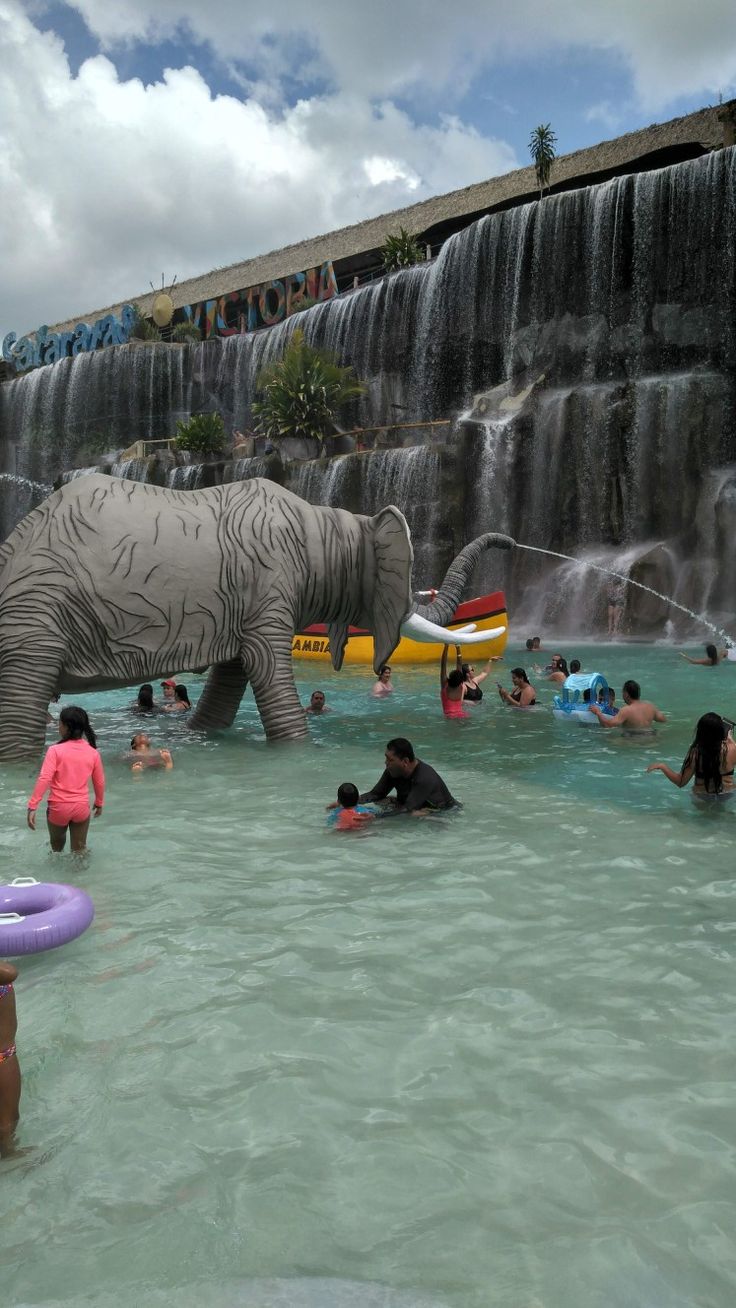 Hacienda Nápoles - Cultura