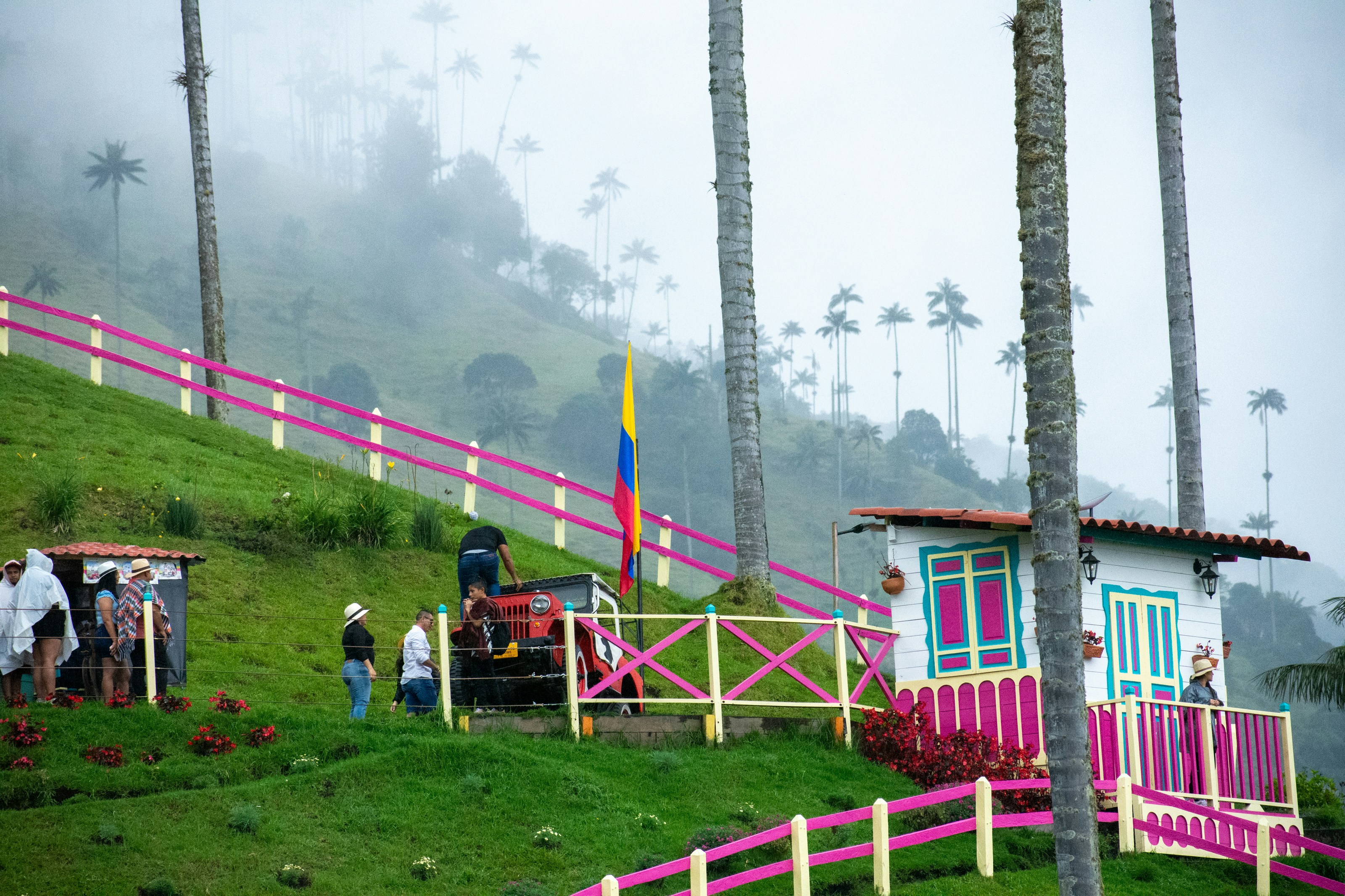 Valle de Cocora - Aventura